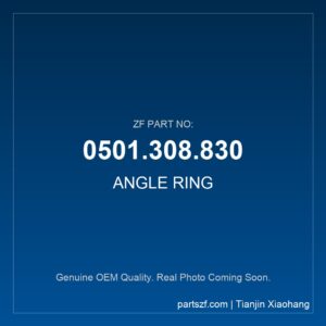 ZF ANGLE RING 0501.308.830