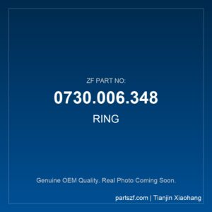 ZF RING 0730.006.348