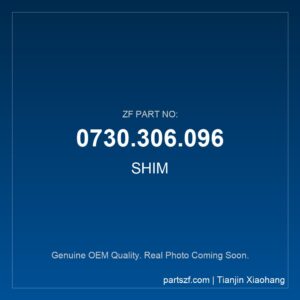 ZF SHIM 0730.306.096