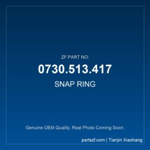 ZF SNAP RING 0730.513.417