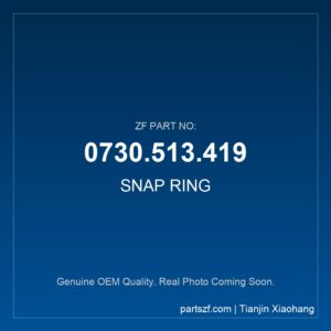 ZF SNAP RING 0730.513.419