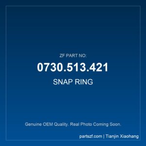 ZF SNAP RING 0730.513.421