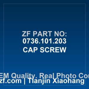 ZF CAP SCREW 0736.101.203