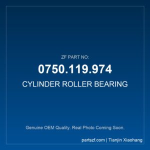 ZF CYLINDER ROLLER BEARING 0750.119.974