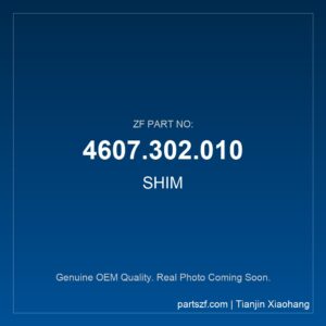 ZF SHIM 4607.302.010