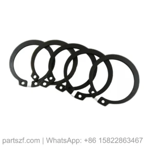 ZF 0630.501.031 RETAINING RING for WG100/WG110/WG158 | OEM Genuine Part