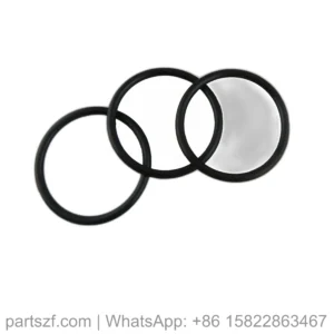 ZF 0634.303.466 O-RING for WG200