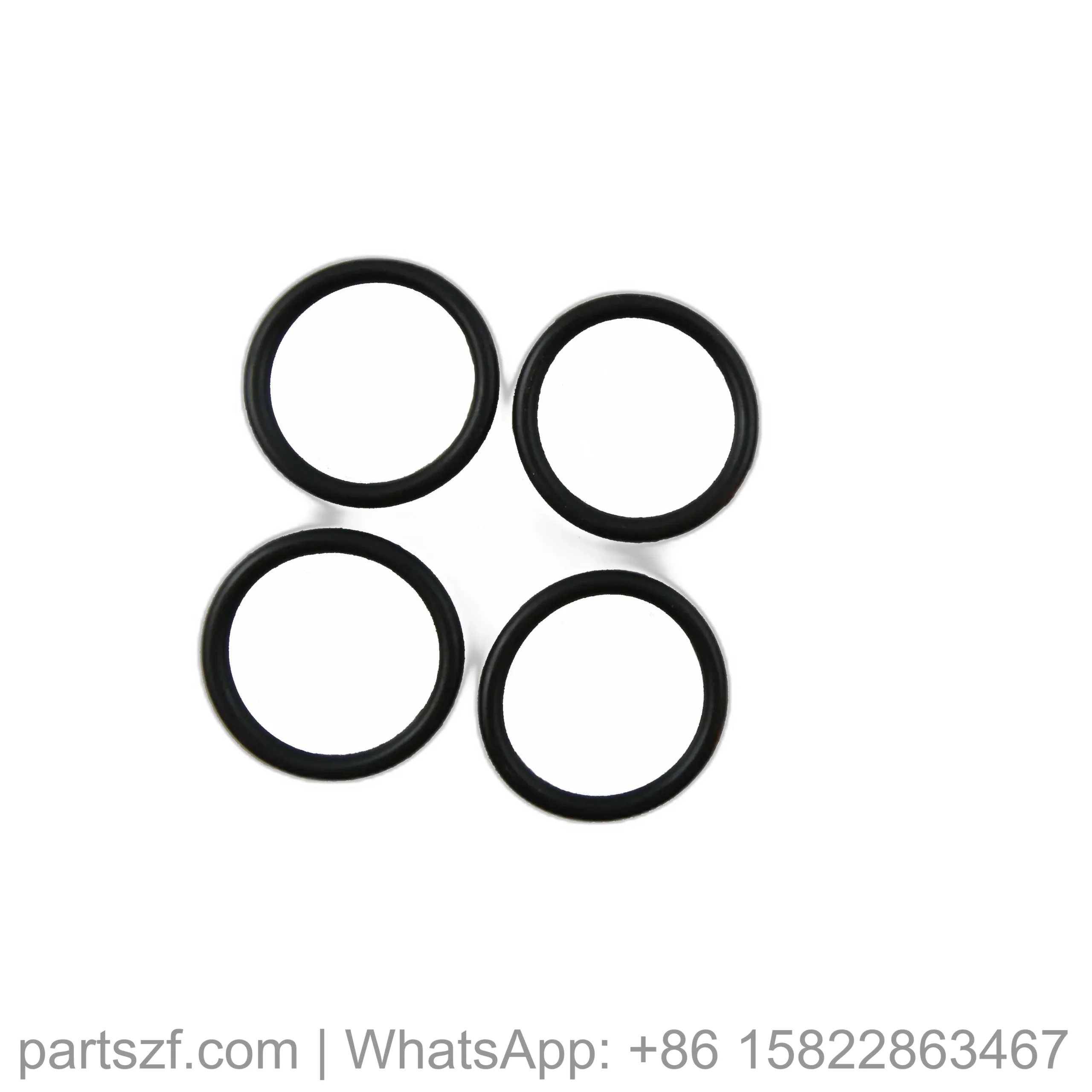 ZF 0634.313.260 O-RING for WG200