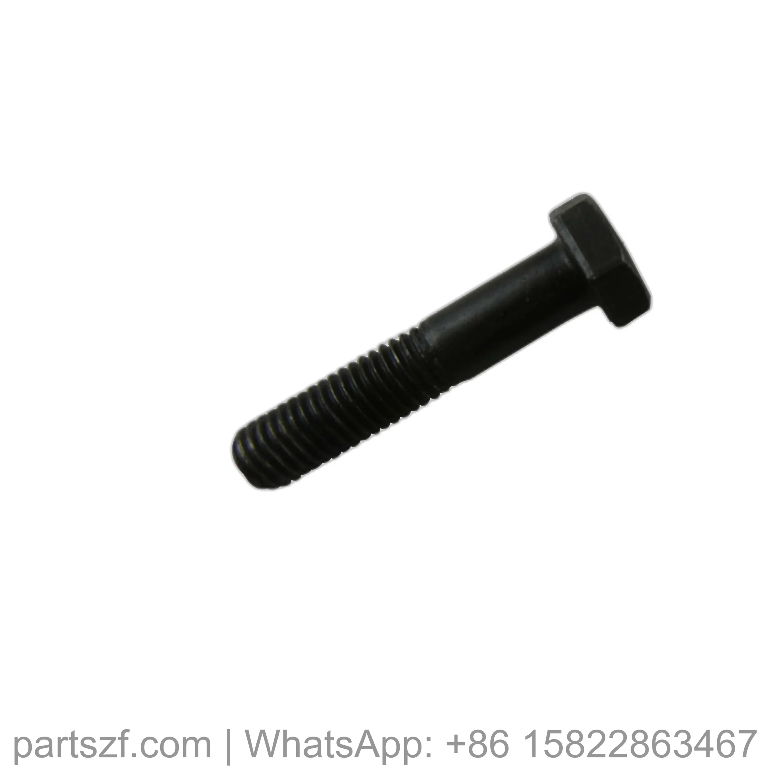 ZF 0636.010.460 HEXAGON SCREW for WG200