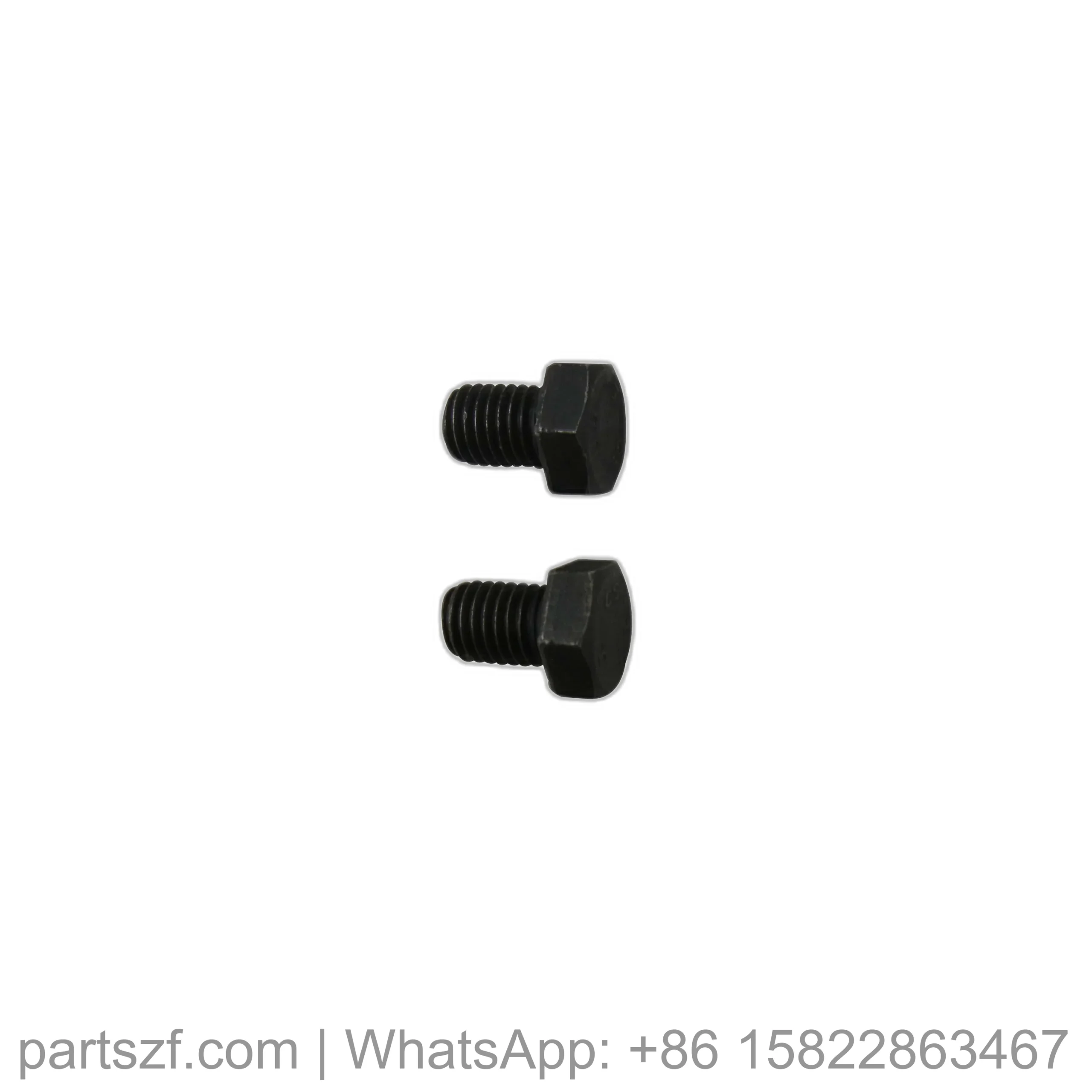 ZF 0636.900.127 CAP SCREW for WG200