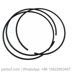 ZF 0730.513.420 SNAP RING for WG200