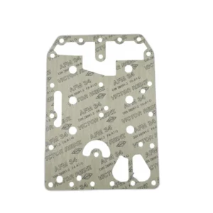 ZF 4646.306.066 GASKET for WG 250/WG 260/WG 310